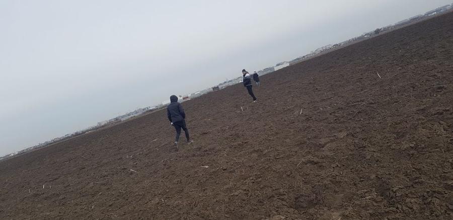 Teren de 3059 mp, în Măgurele