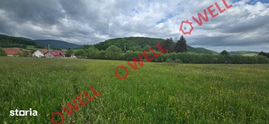 Teren de 4721 mp, în Barcani