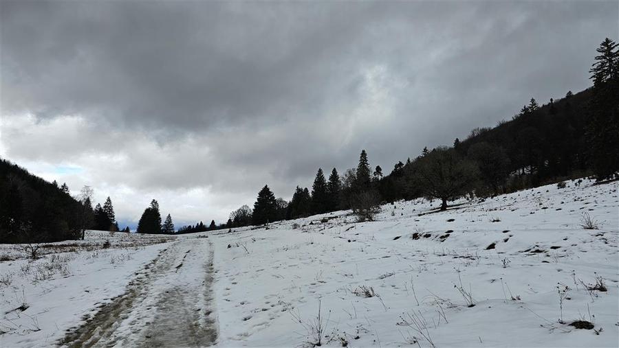 Teren extravilan de 4900 mp, în 13 Decembrie