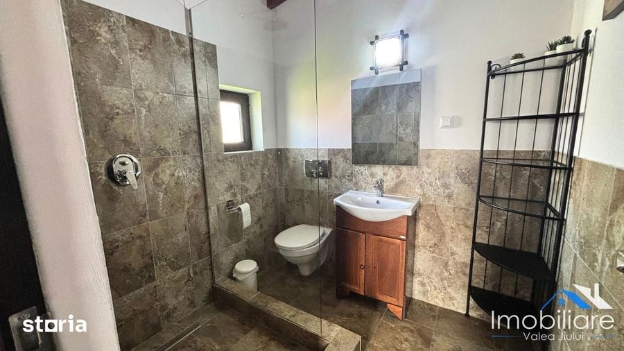 Cabana - Muntii Parang | Vila Wild | Langa Hotel Rusu | 140 mp - 18