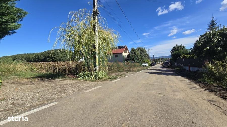 Spațiu comercial, în Nicolae Bălcescu