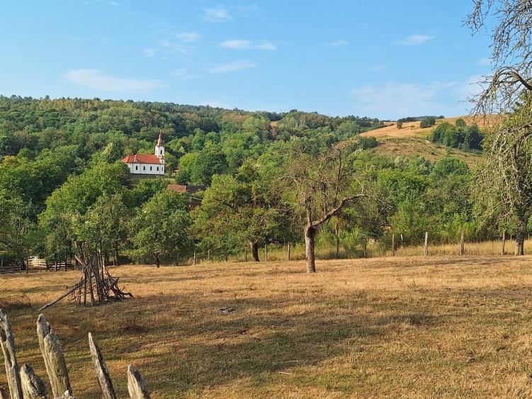 Teren Construcții intravilan de 2880 mp, în Mustești