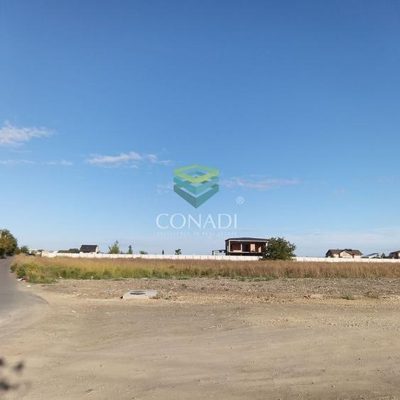 Teren Construcții intravilan de 28074 mp, în Vest