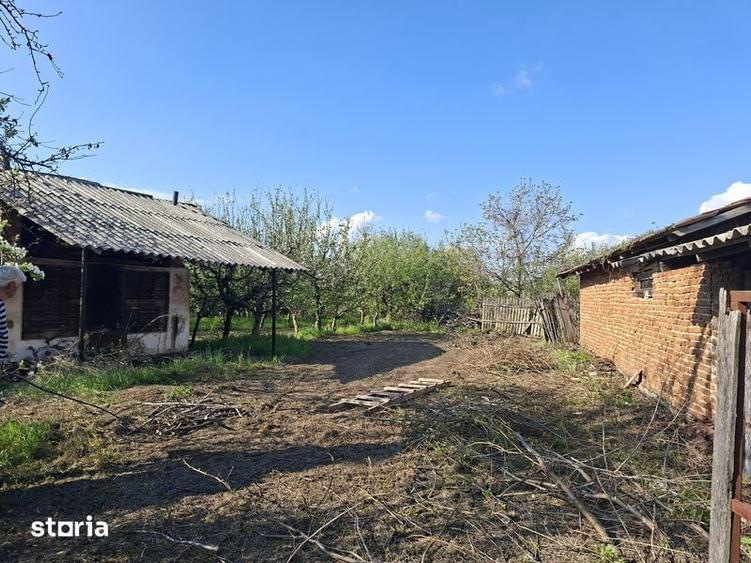 CASA, Livada Samburesti - 8