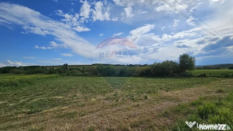 Teren de 12000 mp, în Pădureni (Șendriceni)