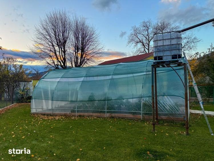 Casă cu 8 camere cu Teren 1318 Mp în Alexandru cel Bun