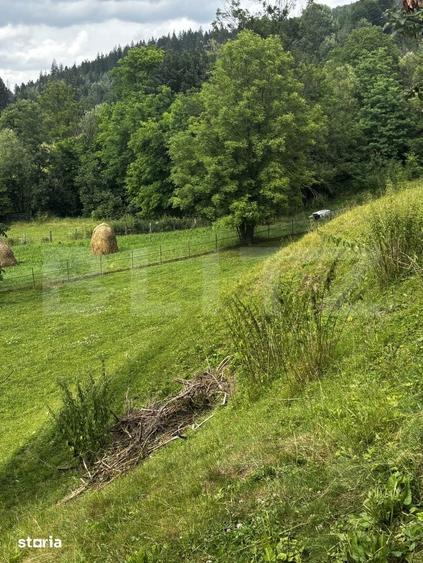 Teren de 6000 mp, în Central