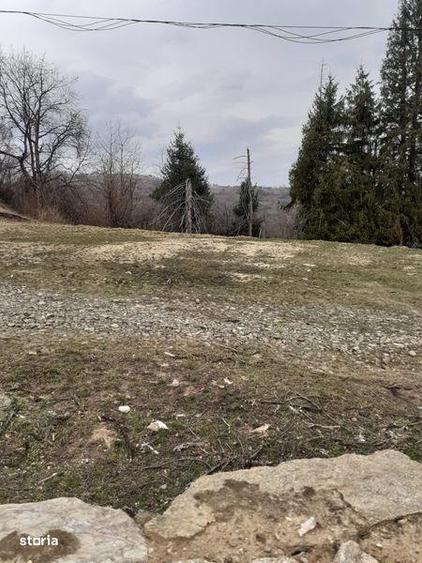 Teren de 25000 mp, în Șugag