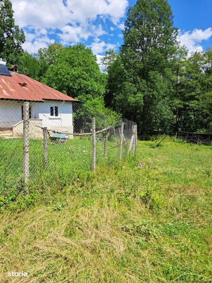Teren de 4900 mp, în Central