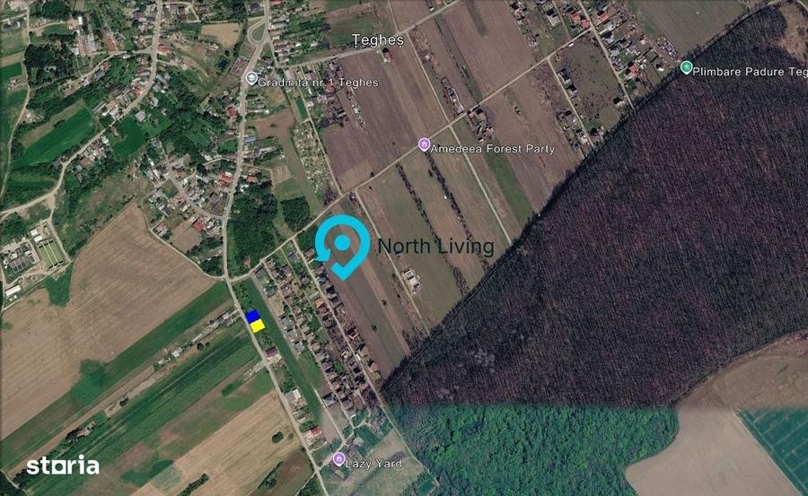 Loturi Teren 500 M Cu Utilitati Teghes Domnesti/Posibilitate Rate - 4