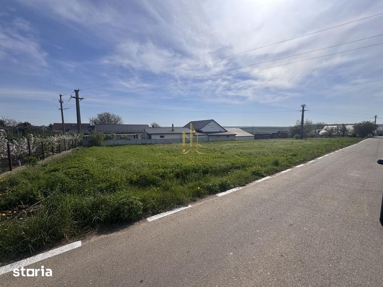 Teren de 1699 mp, în Boroaia