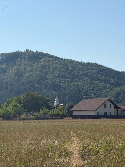 Teren de 1150 mp, în Central