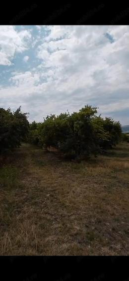 Teren de 1570 mp, în Alexandru cel Bun