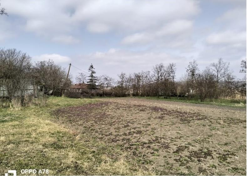 Teren Construcții intravilan de 1727 mp, în Central