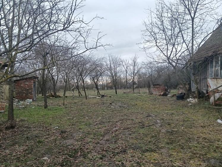 Casă individuală cu 2 camere cu Teren 2665 Mp în Șemlacu Mare
