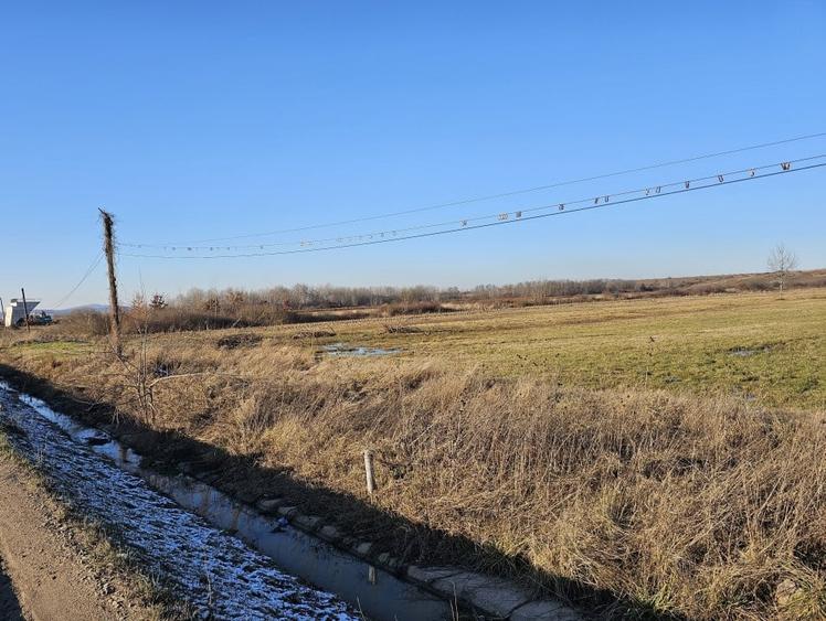 Teren Construcții extravilan de 49933 mp, în Beiuș