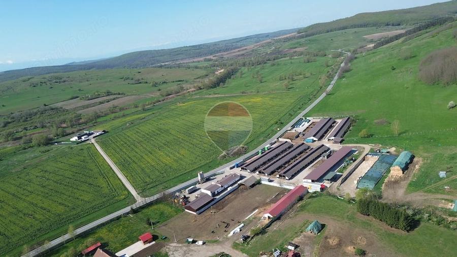Teren de 192016 mp, în Coveș