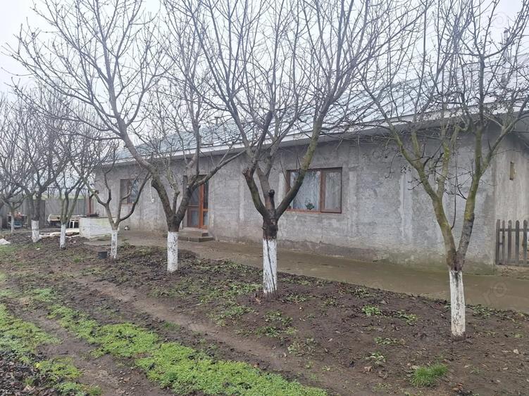 Casă cu Teren 3500 Mp în Central