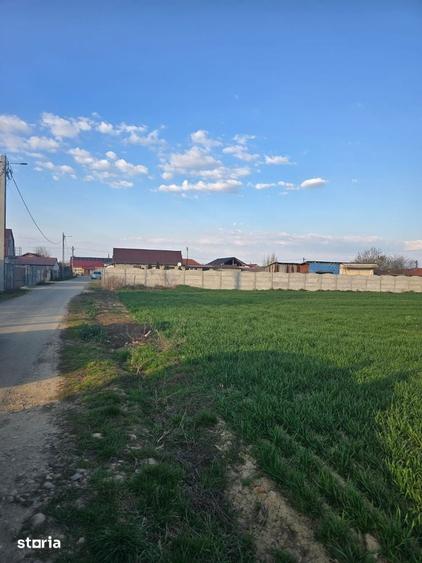Teren de 3200 mp, în Lazuri