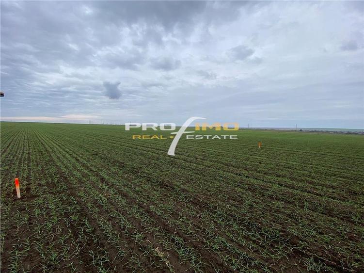 Teren agricol extravilan de 4200 mp, în Corbu