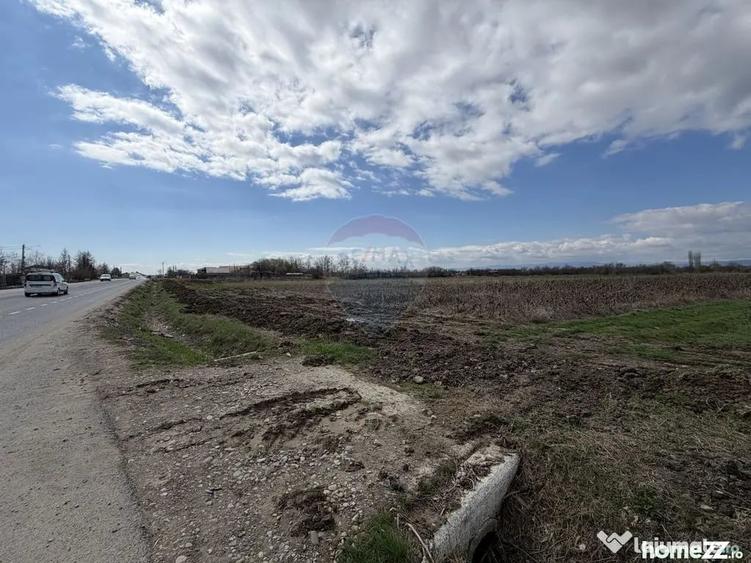 Teren în Bizighești