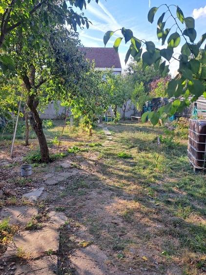 Casă cu 2 camere în Dacia