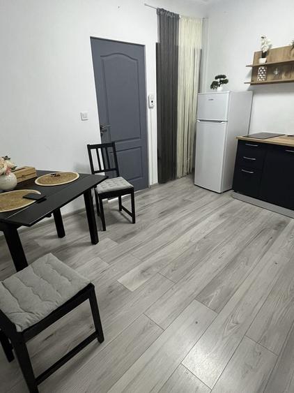 Casă cu 2 camere în Cișmigiu