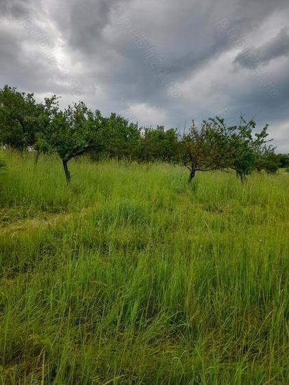 Teren de 34422 mp, în Bădeni