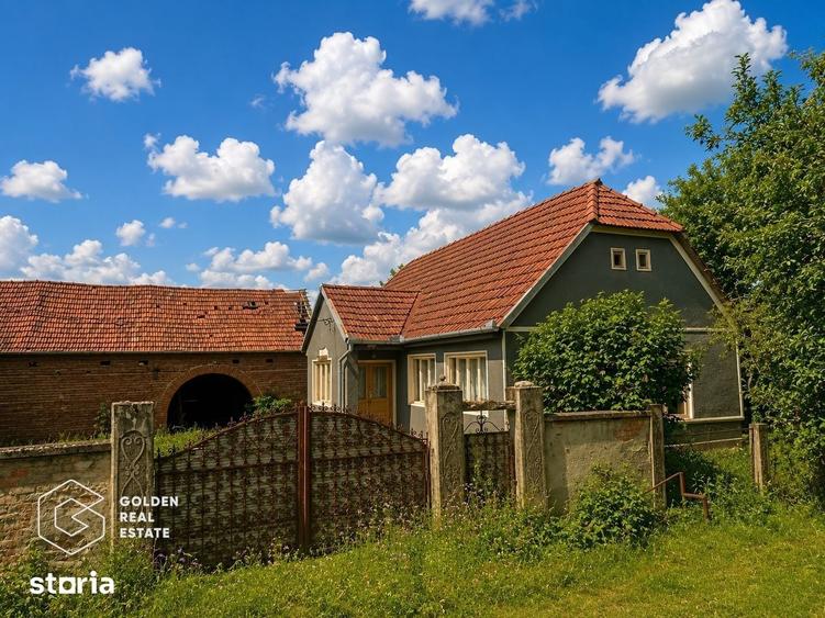 Casa traditionala cu teren 3.086 mp, Capru?a, Arad - 3