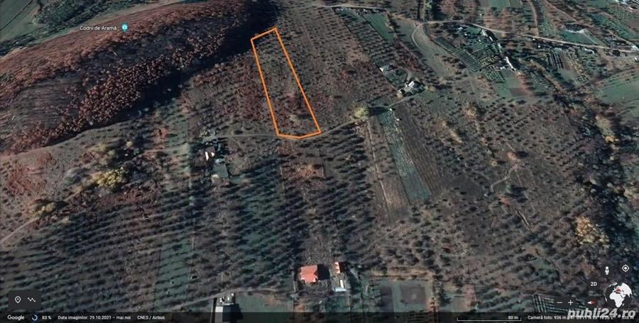 Teren de 6000 mp, în Filioara