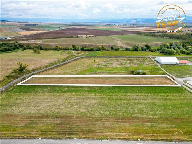 Teren Construcții extravilan de 9675 mp, în Nord