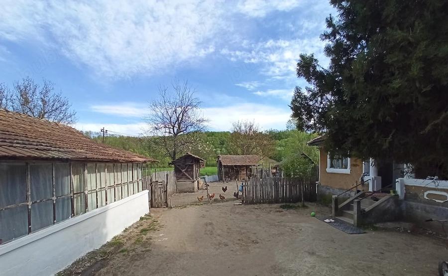Casă cu Teren 2480 Mp în Păltinișu