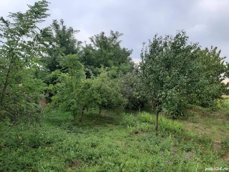 Casă cu 2 camere în Iratoșu