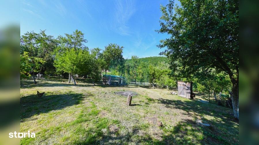 Casă cu 3 camere cu Teren 3245 Mp în Vultureni