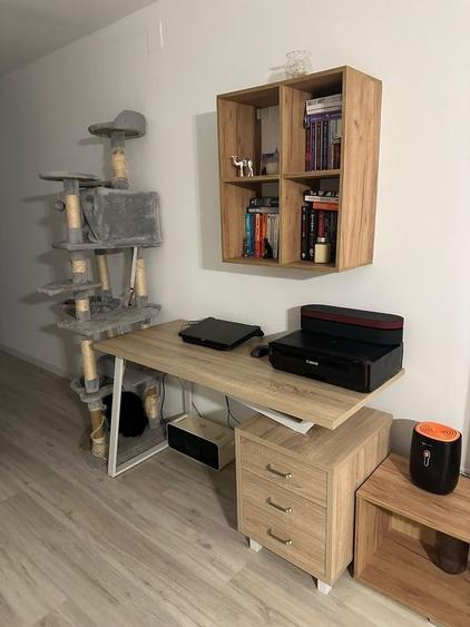 Apartament cu 2 camere semidecomandat în Tunari