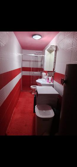 Casă individuală cu 3 camere cu Teren 1360 Mp în Iecea Mare