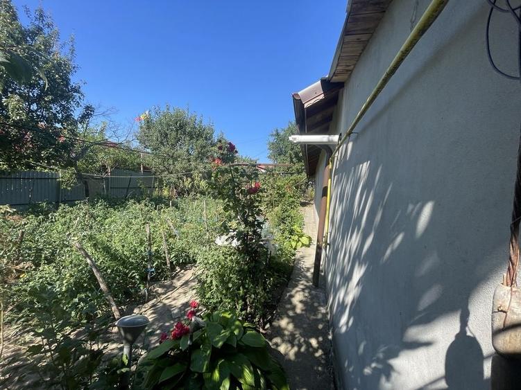 Casă cu 3 camere în Central