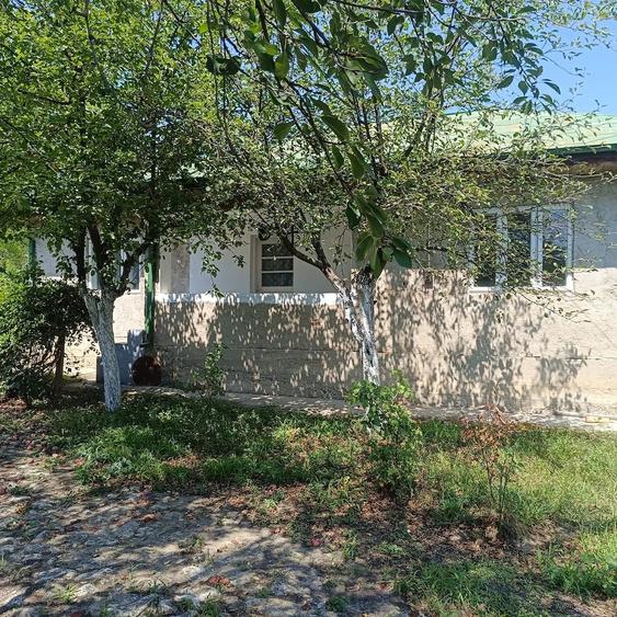 Casă cu 3 camere cu Teren 3000 Mp în Fințești
