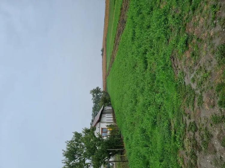 Teren de 1400 mp, în Sâncrai