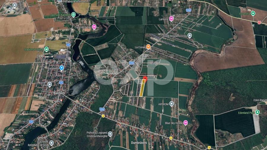 Teren Construcții intravilan de 10000 mp, în Balotești
