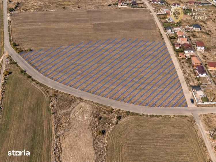 Teren de 7800 mp, în Vladimirescu