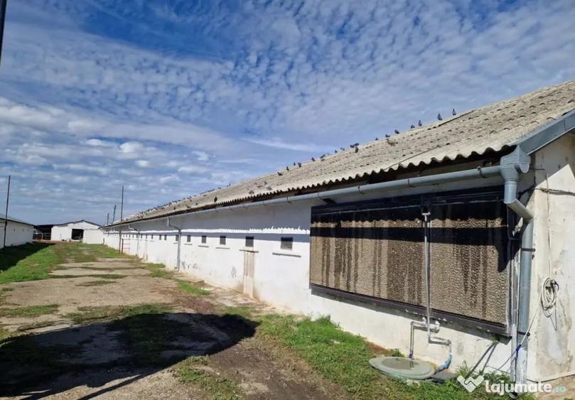 Teren de 26395 mp, în Șimnicu de Sus
