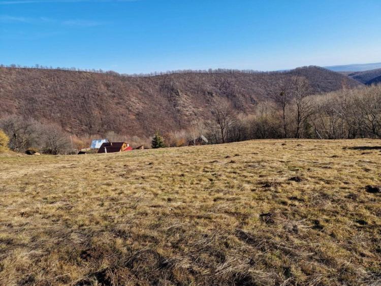 Teren 3600 mp, pretabil pt case de vacan?e, zona Valea Ieri - 1