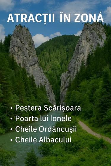 Teren de 9280 mp, în Scărișoara