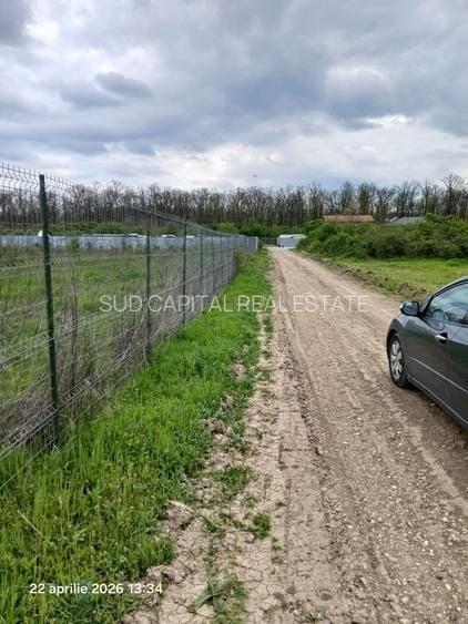 Teren Construcții intravilan de 900 mp, în Cernica