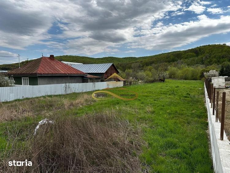 Teren intravilan de vanzare 2900 mp Luncani Bacau - 2