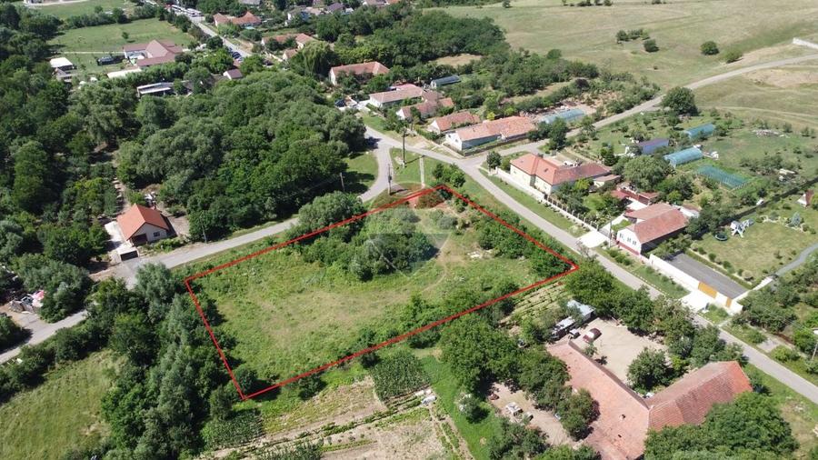 Teren Construcții intravilan de 2877 mp, în Pișchia