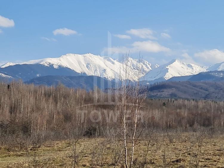 Teren extravilan de 2500 mp, în Porumbacu de Jos