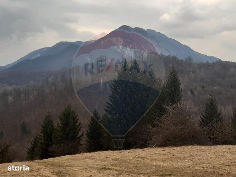 Spațiu comercial, în Părău
