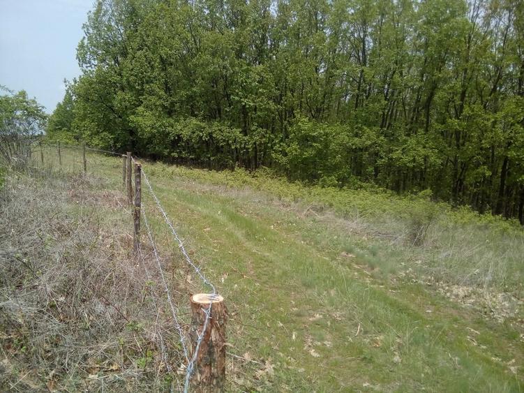 Teren de 50000 mp, în Făgețelu
